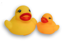 One momma duck and one baby duck